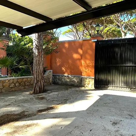 Pinos Con Piscina Privada *
