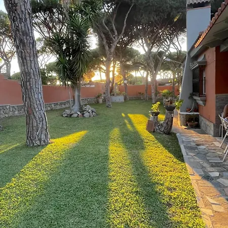 Ferienhaus Pinos Con Piscina Privada